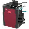 Raypak 018051 AVIA Propane Pool & Spa Heater – 399K BTU
