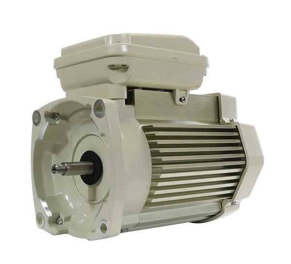 Pentair 354817S 3HP TEFC Replacement Pump Motor – 208–230V, 1-Speed, 56Y Square Flange